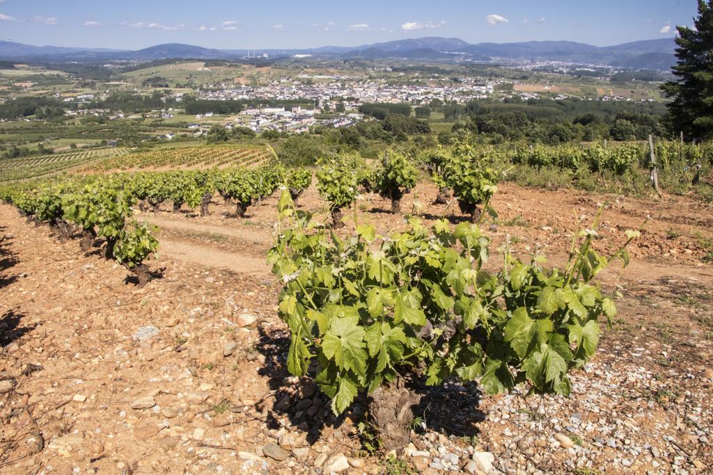 La Casina De Terobe Hébergement de vacances